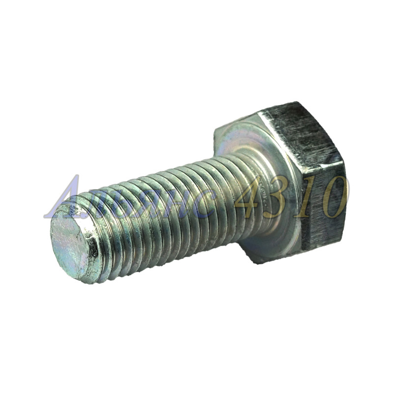 Болт М10х25х1,25 - БелЗАН